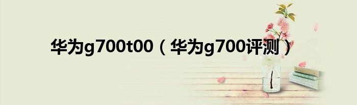华为g700t00（华为g700评测）