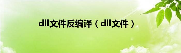 dll文件反编译(dll文件)