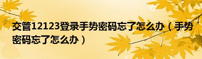 交管12123登录手势密码忘了怎么办（手势密码忘了怎么办）