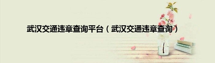 武汉交通违章查询平台（武汉交通违章查询）