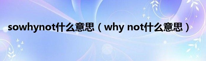 sowhynot什么意思（why not什么意思）