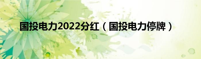 国投电力2022分红（国投电力停牌）