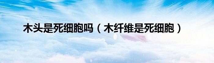木头是死细胞吗(木纤维是死细胞)