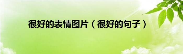 很好的表情图片(很好的句子)