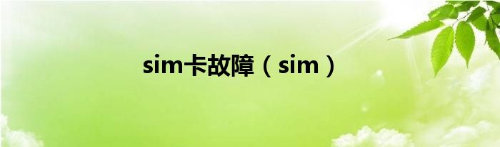 sim卡故障（sim）