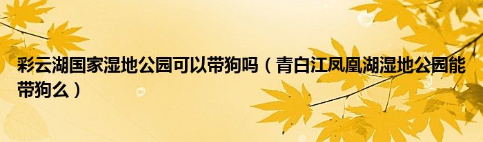 彩云湖国家湿地公园可以带狗吗(青白江凤凰湖湿地公园能带狗么)