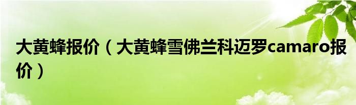 大黄蜂报价(大黄蜂雪佛兰科迈罗camaro报价)