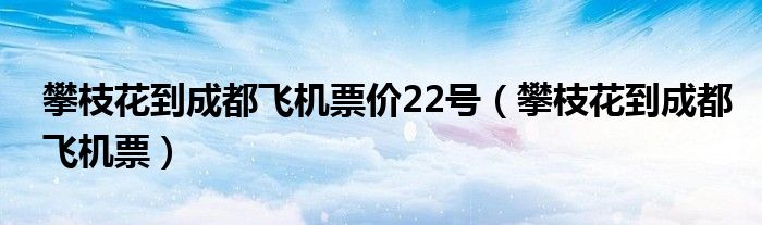 攀枝花到成都飞机票价22号(攀枝花到成都飞机票)