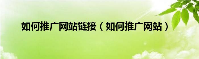 如何推广网站链接(如何推广网站)
