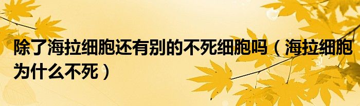 除了海拉细胞还有别的不死细胞吗（海拉细胞为什么不死）
