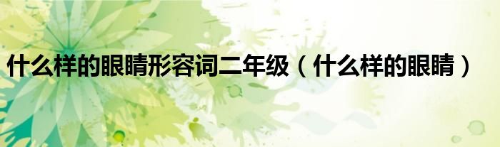 什么样的眼睛形容词二年级（什么样的眼睛）