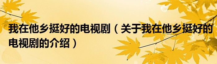 我在他乡挺好的电视剧(关于我在他乡挺好的电视剧的介绍)