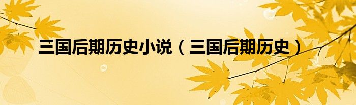 三国后期历史小说（三国后期历史）