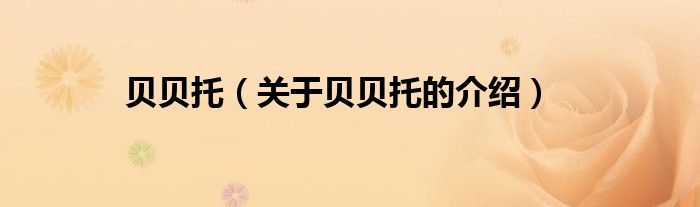 贝贝托（关于贝贝托的介绍）