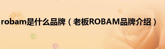 robam是什么品牌（老板ROBAM品牌介绍）