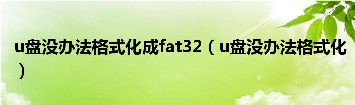 u盘没办法格式化成fat32（u盘没办法格式化）