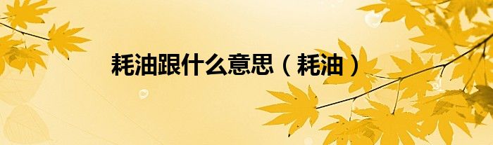 耗油跟什么意思（耗油）