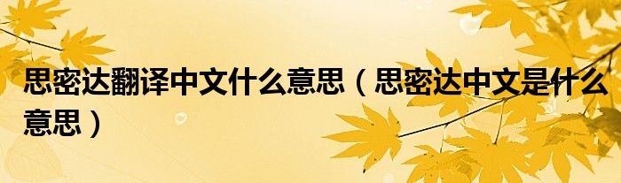 思密达翻译中文什么意思(思密达中文是什么意思)