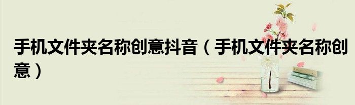 手机文件夹名称创意抖音（手机文件夹名称创意）
