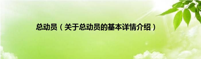 总动员（关于总动员的基本详情介绍）