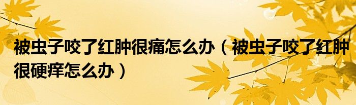 被虫子咬了红肿很痛怎么办（被虫子咬了红肿很硬痒怎么办）
