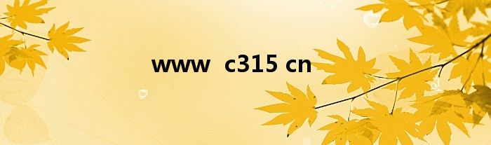 www c315 cn