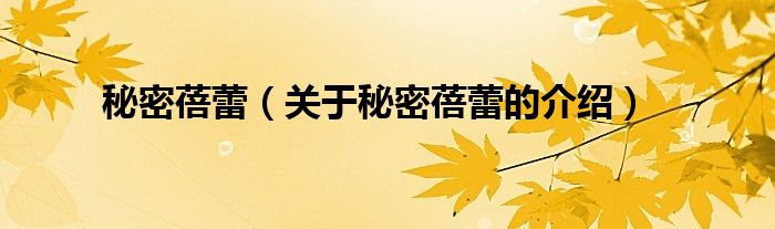 秘密蓓蕾(关于秘密蓓蕾的介绍)