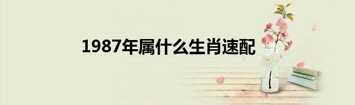1987年属什么生肖速配